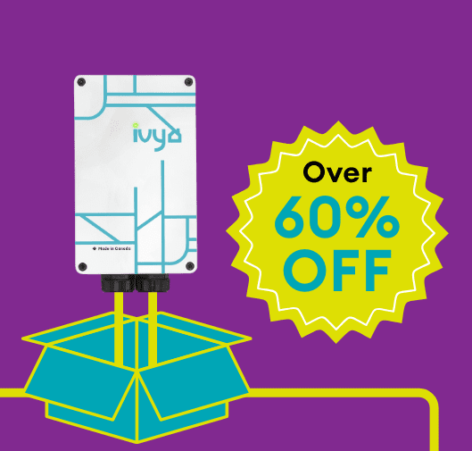 Ivy Home site Module Boxing Week 529 x 505 px